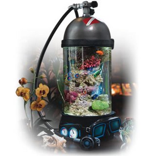 bottom time aquarium