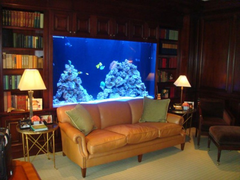 innovative Aquarium Designs
