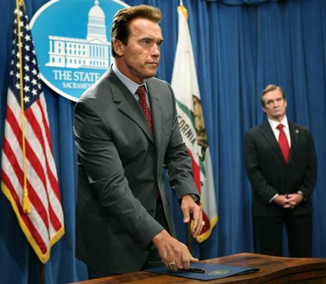 Schwarzenegger job cuts
