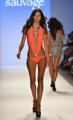 A.Z Araujo Collection