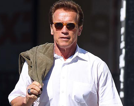 arnold schwarzenegger career