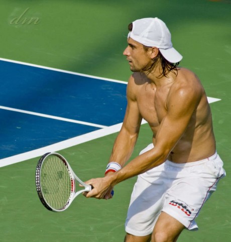 David Ferrer Hot Picture
