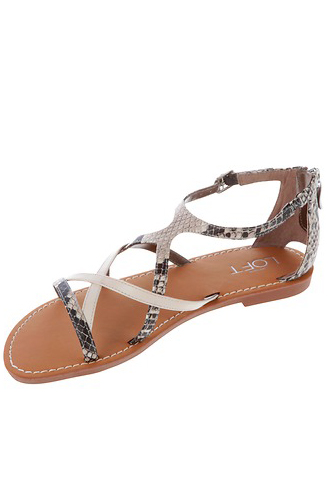 elegant gladiator sandals