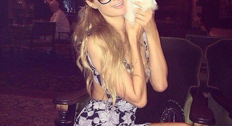Paris Hilton Shares Sweet Pictures of Her $13K Puppy Paris Hilton Shares Sweet Pictures of Her $13K Puppy